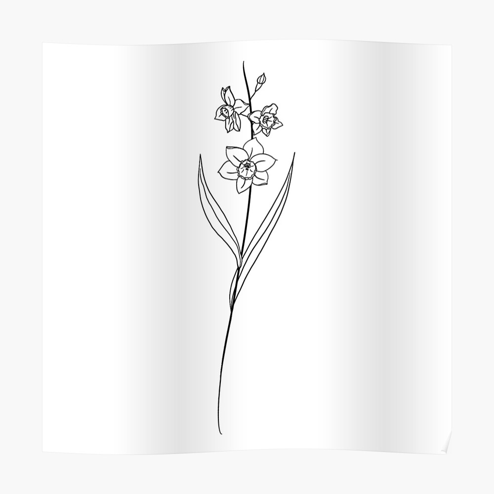 Dezember Geburtsmonat Blume Narzisse Kunstdruck Von Ekwdesigns Redbubble