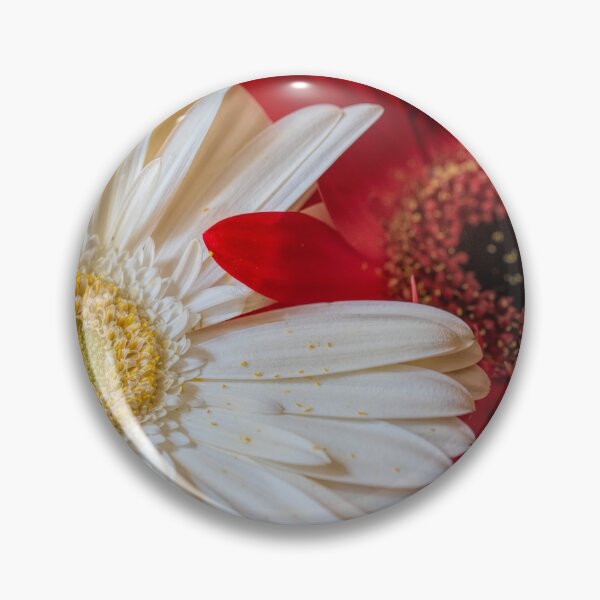 Item preview, Gerbera Love designed and sold by Sylvia Labelle.