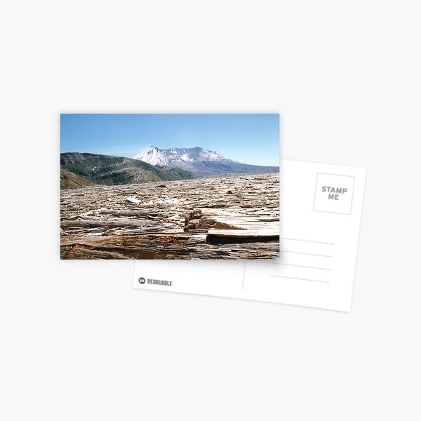 Mt. St. Helens Postcard