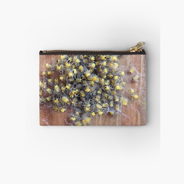 Item preview, Tiny Yellow Newborn Wasp Spiders  - Cute Spiders Gifts designed and sold by r-silver.
