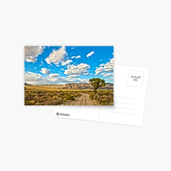 Geology Tour Road Postcard