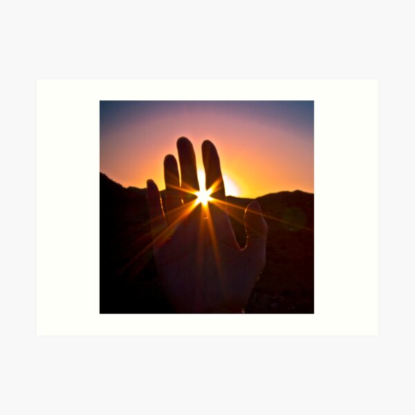 Catching The Light! Art Print