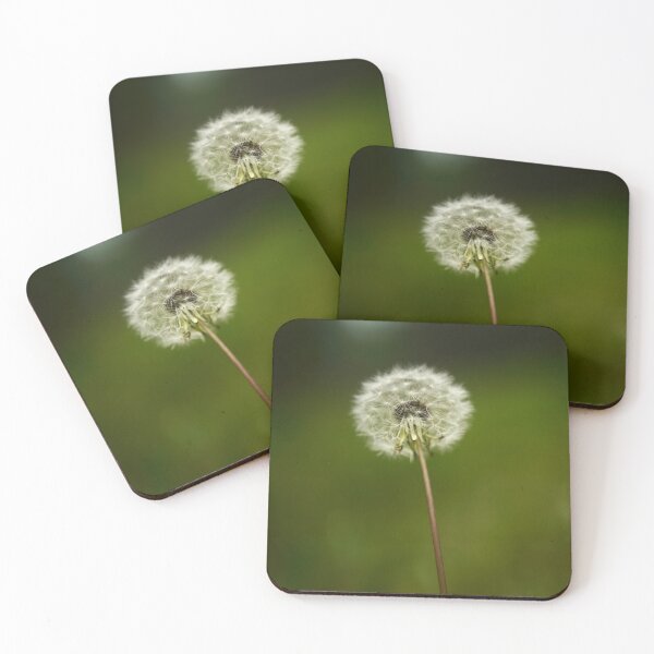 Item preview, Patience, waiting for the wind designed and sold by Harrisonphoto.