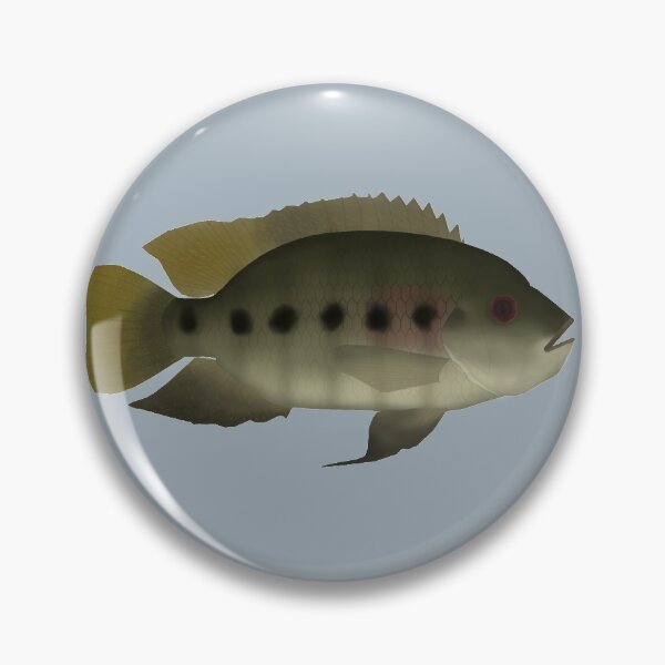 Item preview, Spotted Tilipia designed and sold by fishfolkart.