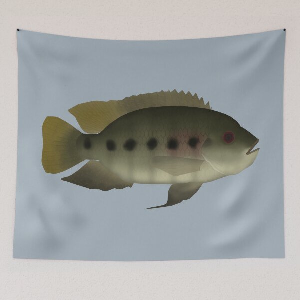 Item preview, Spotted Tilipia designed and sold by fishfolkart.