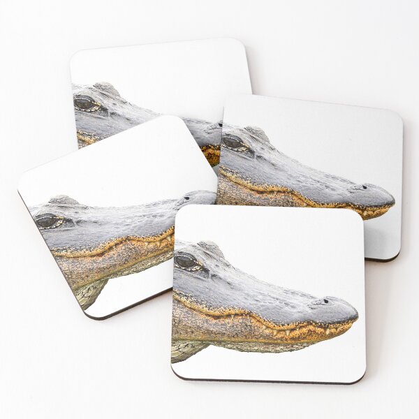 Item preview, Alligator smile - up close and personal designed and sold by Harrisonphoto.