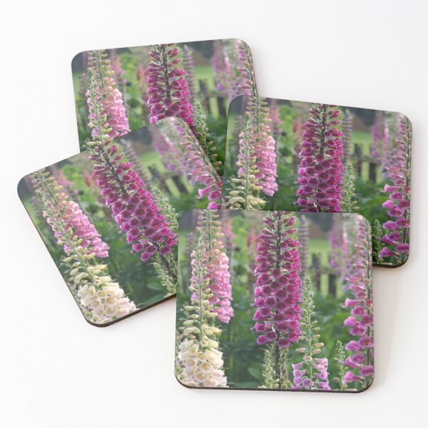 Item preview, Cottage garden - Foxgloves designed and sold by Latch Farm  Studios.
