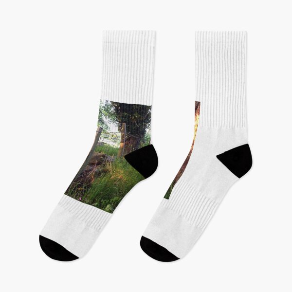 Item preview, A Little Bit Of Paradise. designed and sold by Michael Haslam.