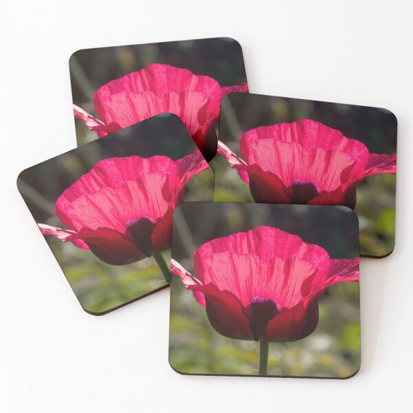 Item preview, Sunlight poppy designed and sold by Latch Farm  Studios.