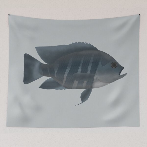 Item preview, Zebra Tilapia designed and sold by fishfolkart.