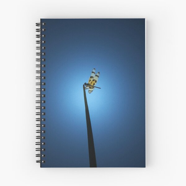 Item preview, Perched designed and sold by MaryAnn Reilly.