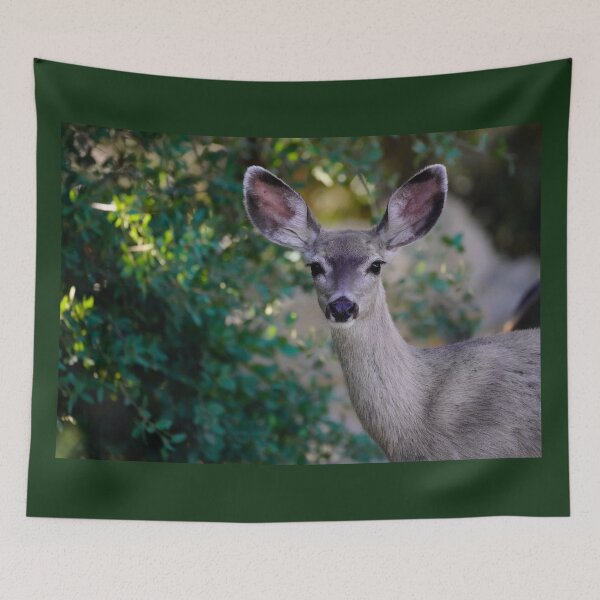 Item preview, Better To Hear You With, My Dear designed and sold by MomentofPercep.
