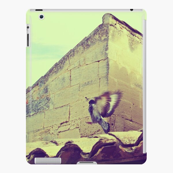 iPad Retina/3/2 - Snap