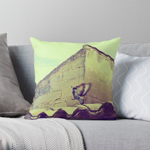 Throw Pillow