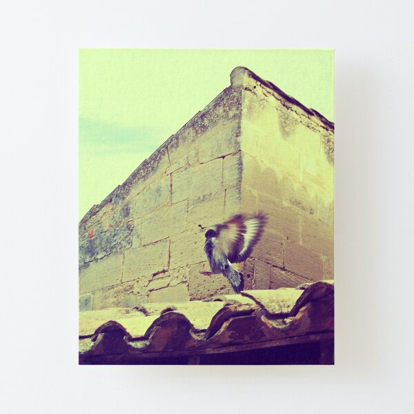Canvas Mounted Print