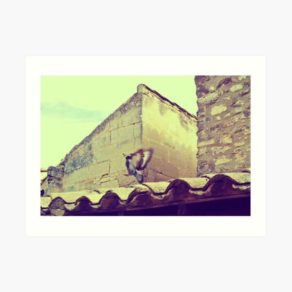 Art Print
