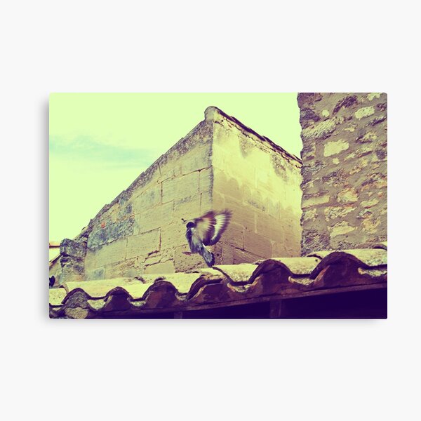 Canvas Print