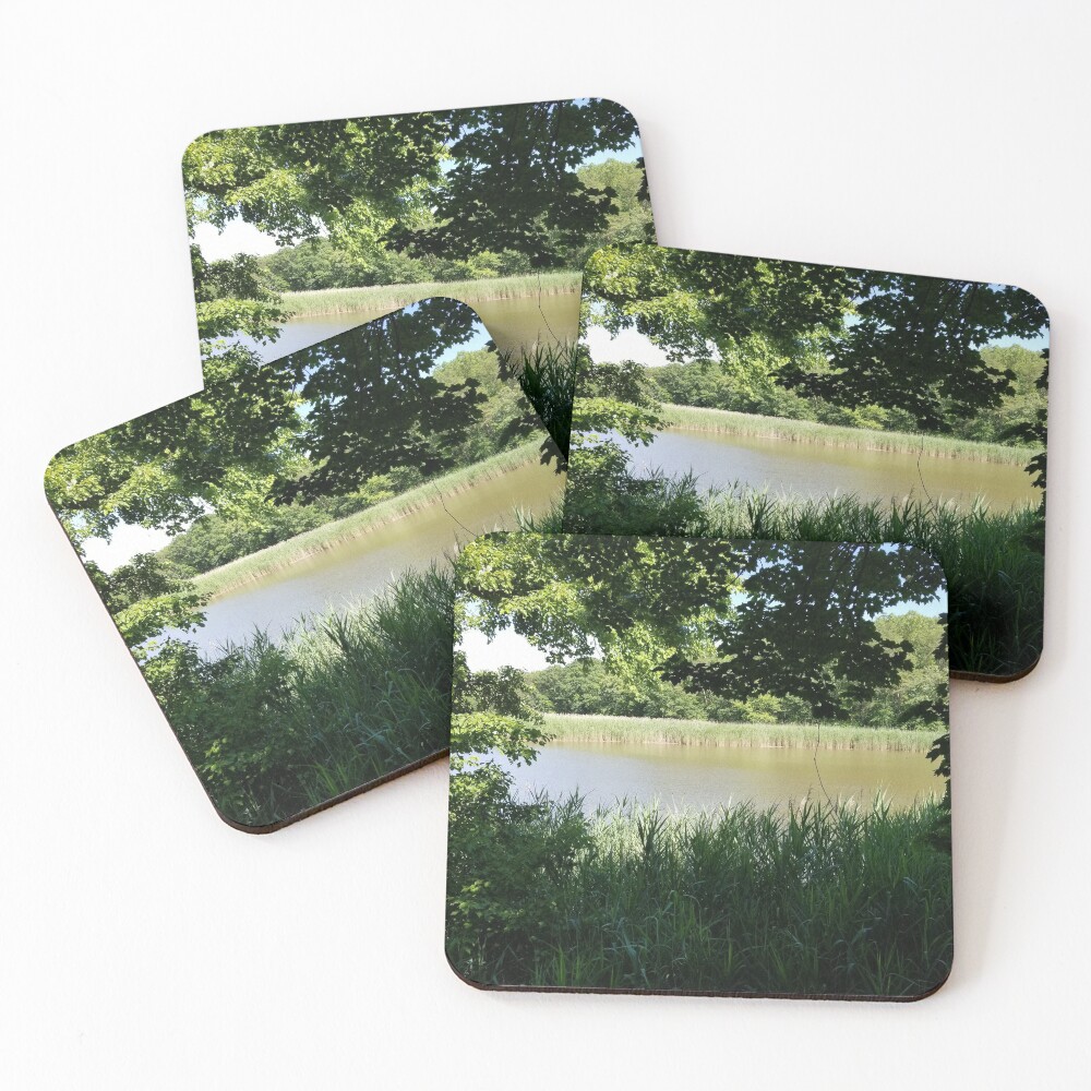 River Through the Trees Coasters (Set of 4)