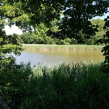 Artwork thumbnail, River Through the Trees by Heather Gaffney