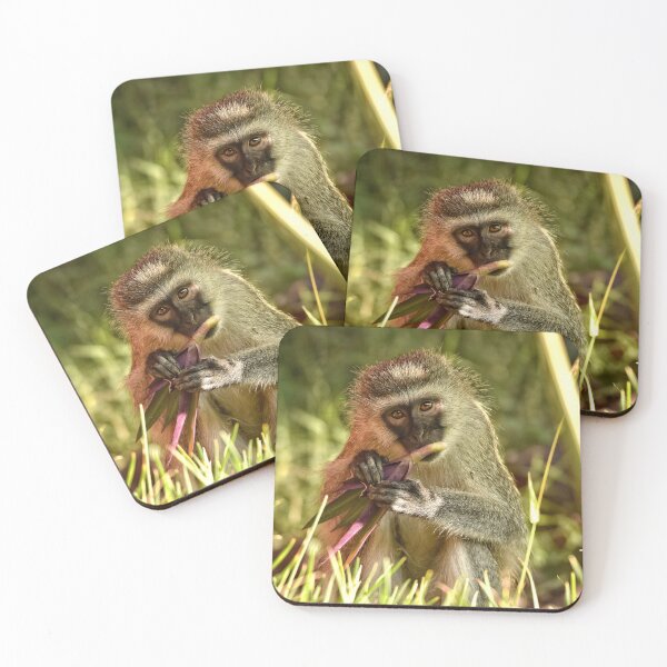 Item preview, Vervet Monkey in Kenya designed and sold by Mitchell Grosky.