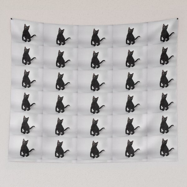 Item preview, In studio portrait of an adorable playful black kitty cat wide eyed one paw up a great gift for the kitty cat fan. designed and sold by g2rdsmith.