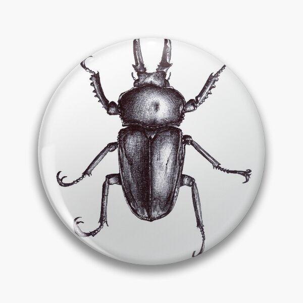 Item preview, Stag Beetle ink drawing designed and sold by sarahstribb.