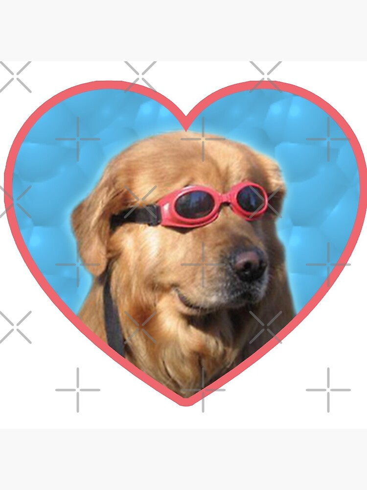 Doggo Stickers: Swimmer Dog by Elisecv