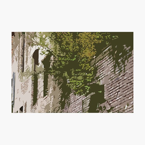 Photographic Print