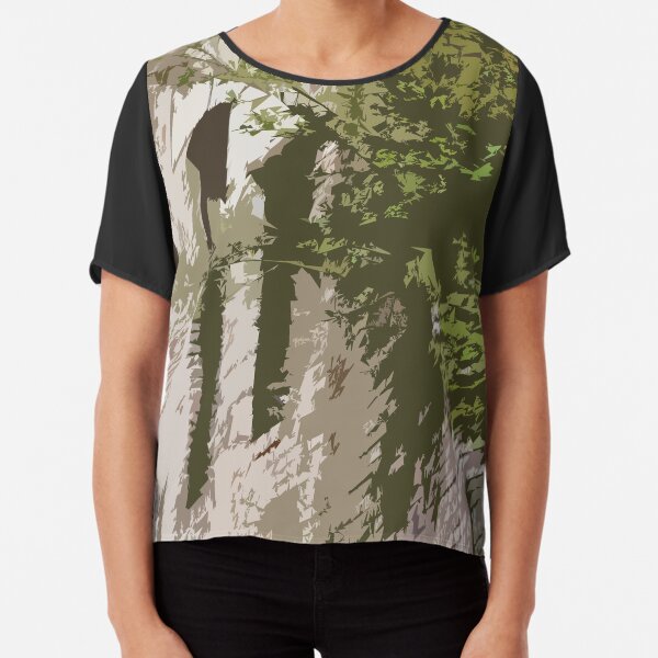 Chiffon Top