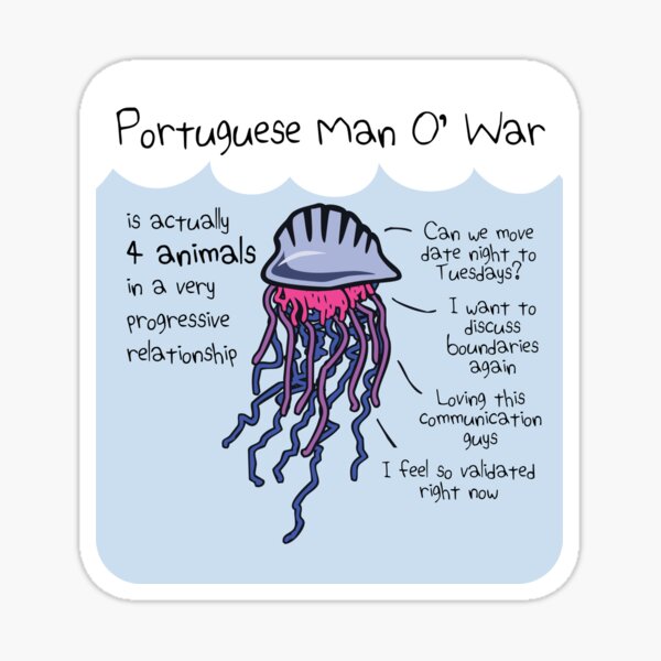 Portuguese Man O' War Is Actually 4 Animals In A Very Progressive Relationship Sticker