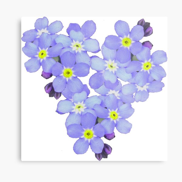 Metal Print