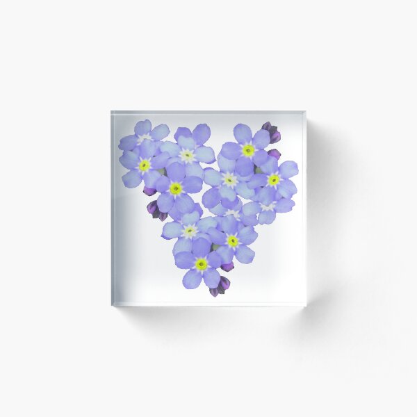 Acrylic Block