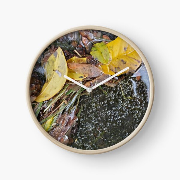 Tiny Bubble and Leaf Microscape Clock