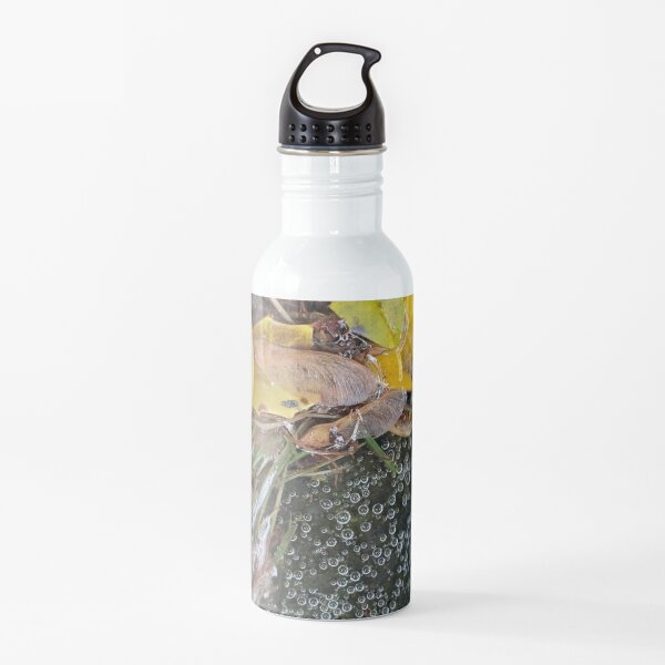 Tiny Bubble and Leaf Microscape Water Bottle