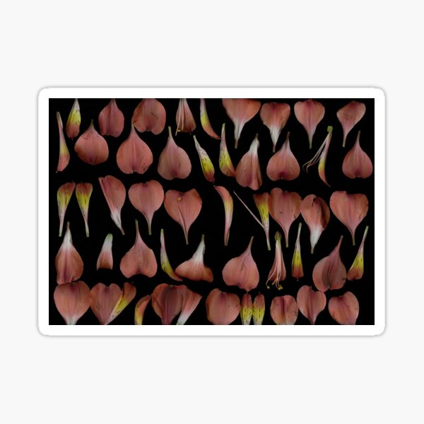 Item preview, October Petals 4 Dark Floral designed and sold by LindasPhotoArt.