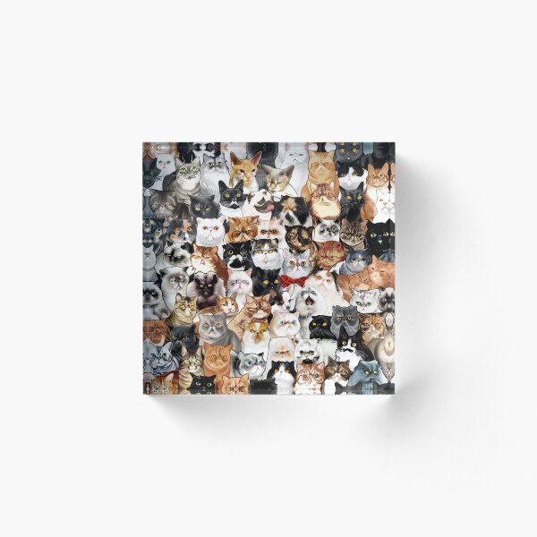 #Catminaproject by Jimiyo Acrylic Block