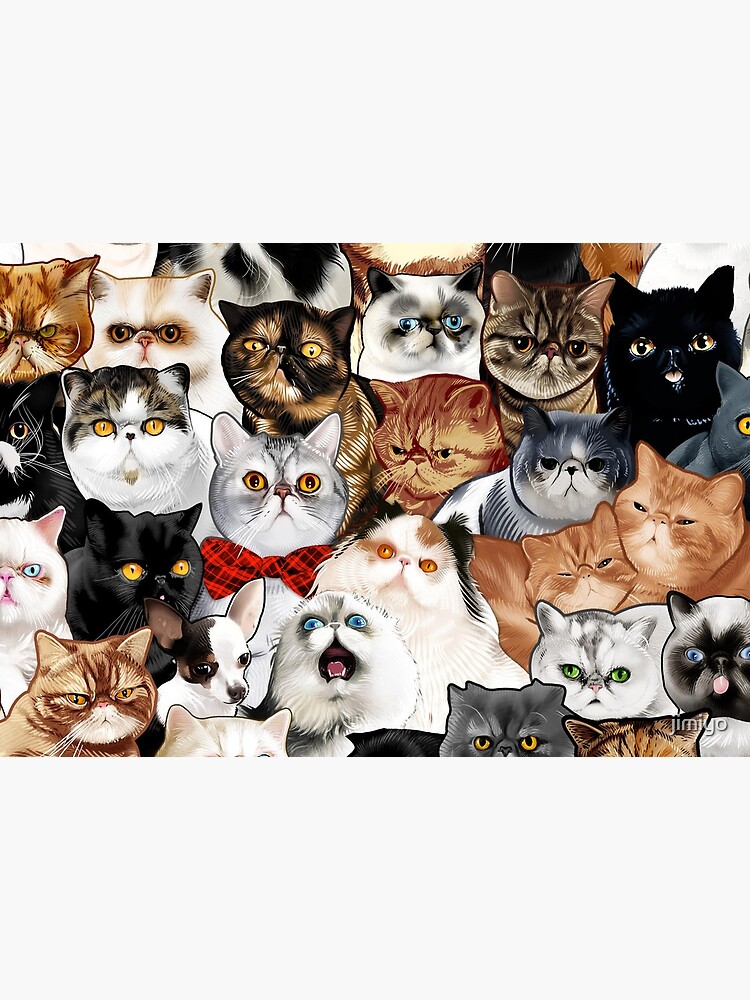 #Catminaproject by Jimiyo by jimiyo