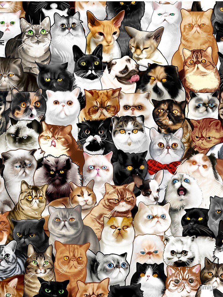 #Catminaproject by Jimiyo by jimiyo