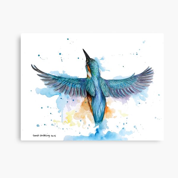 Watercolour Kingfisher in flight Metal Print