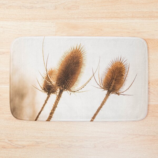 Item preview, Teasel Seed Heads designed and sold by Richard Nixon.