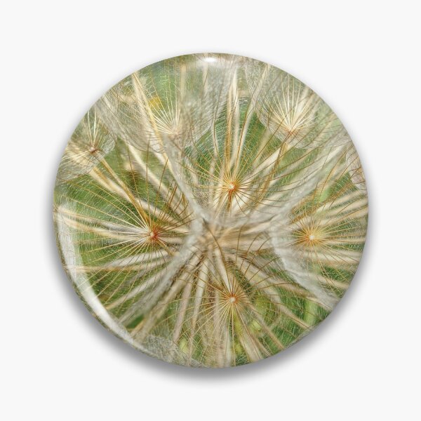 Pin Button