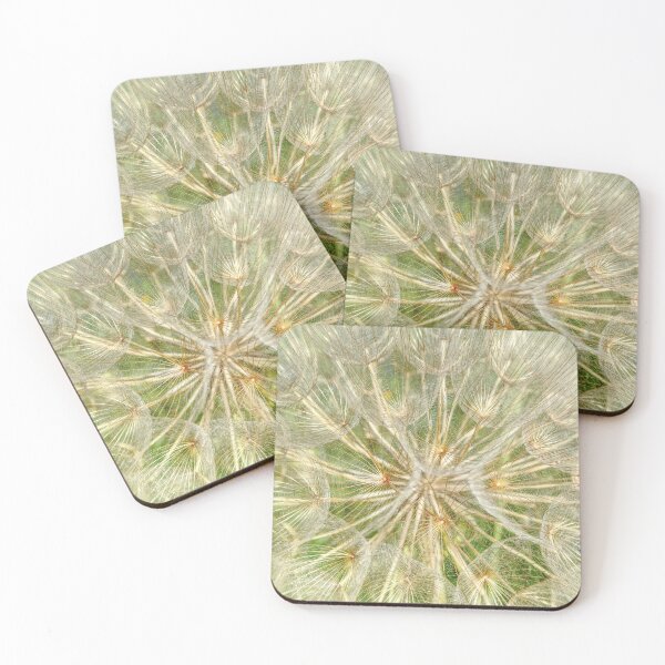 Coasters
