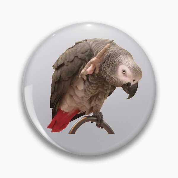 Item preview, Einstein African Grey Parrot Waving designed and sold by einsteinparrot.