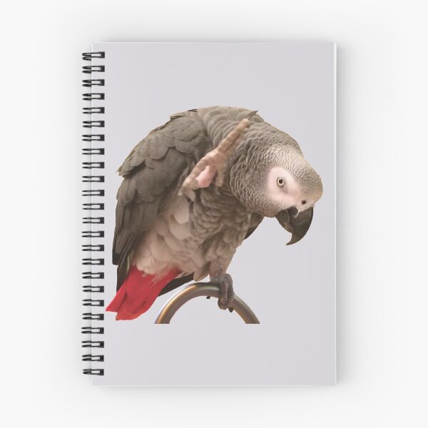 Item preview, Einstein African Grey Parrot Waving designed and sold by einsteinparrot.