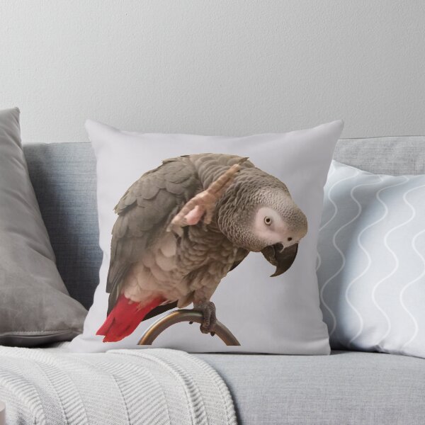 Item preview, Einstein African Grey Parrot Waving designed and sold by einsteinparrot.