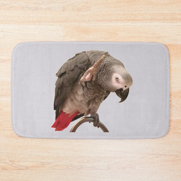 Item preview, Einstein African Grey Parrot Waving designed and sold by einsteinparrot.