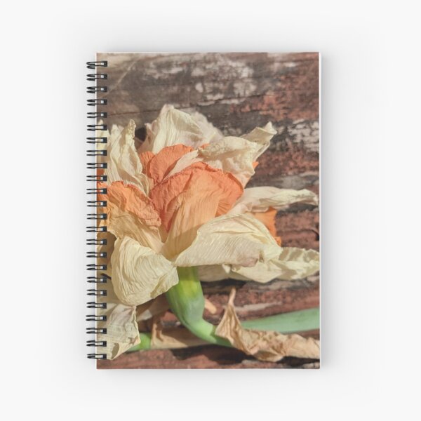 Drying Daffodil on a Railing Spiral Notebook