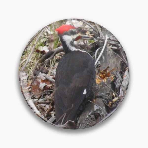 Artikelvorschau, Kanadischer Pileated-Specht-Vogel entworfen und verkauft von imphavok.