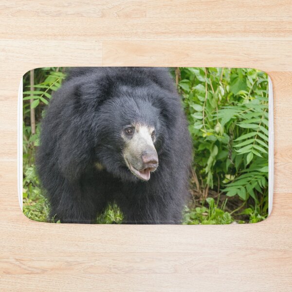 Item preview, Sloth Bear at the National Zoo designed and sold by Zoo and Nature Photography by Karie.
