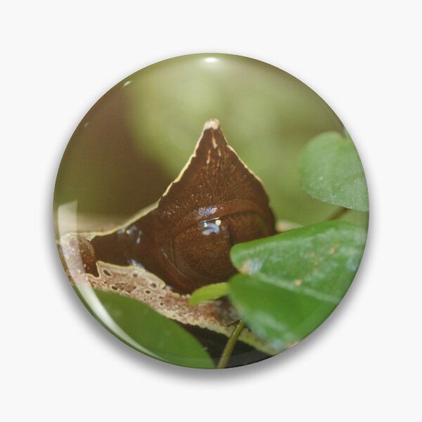 Pin Button